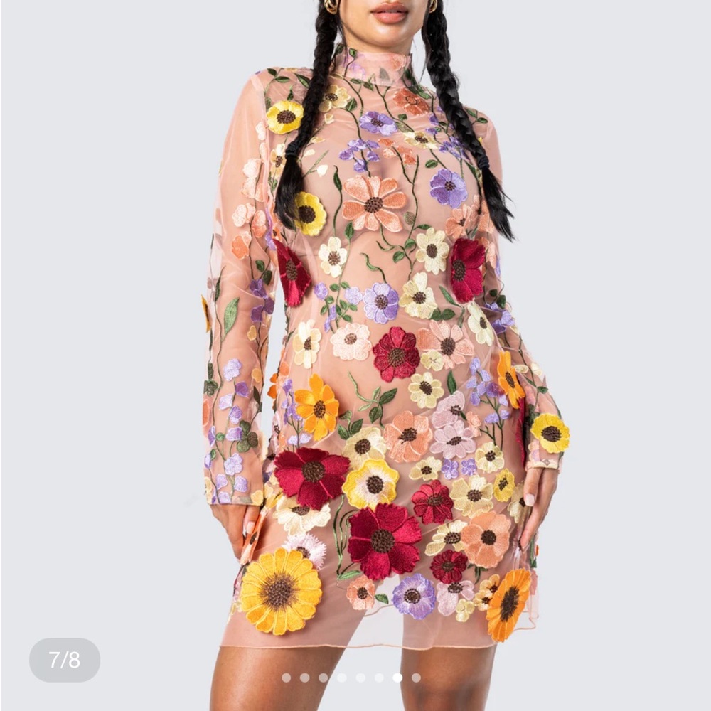 Floral Embroidered Sheer Dress
